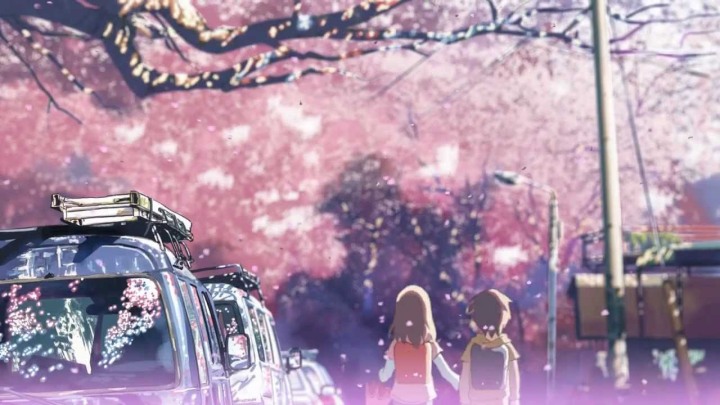 cherry blossoms in anime