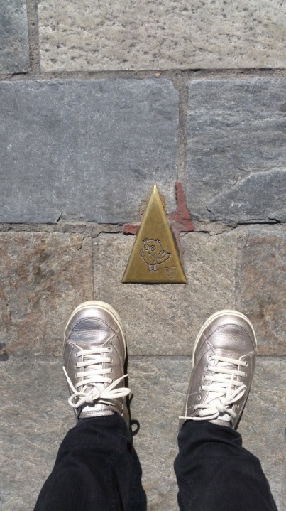 chouette owl trail owl picture on ground dijon france