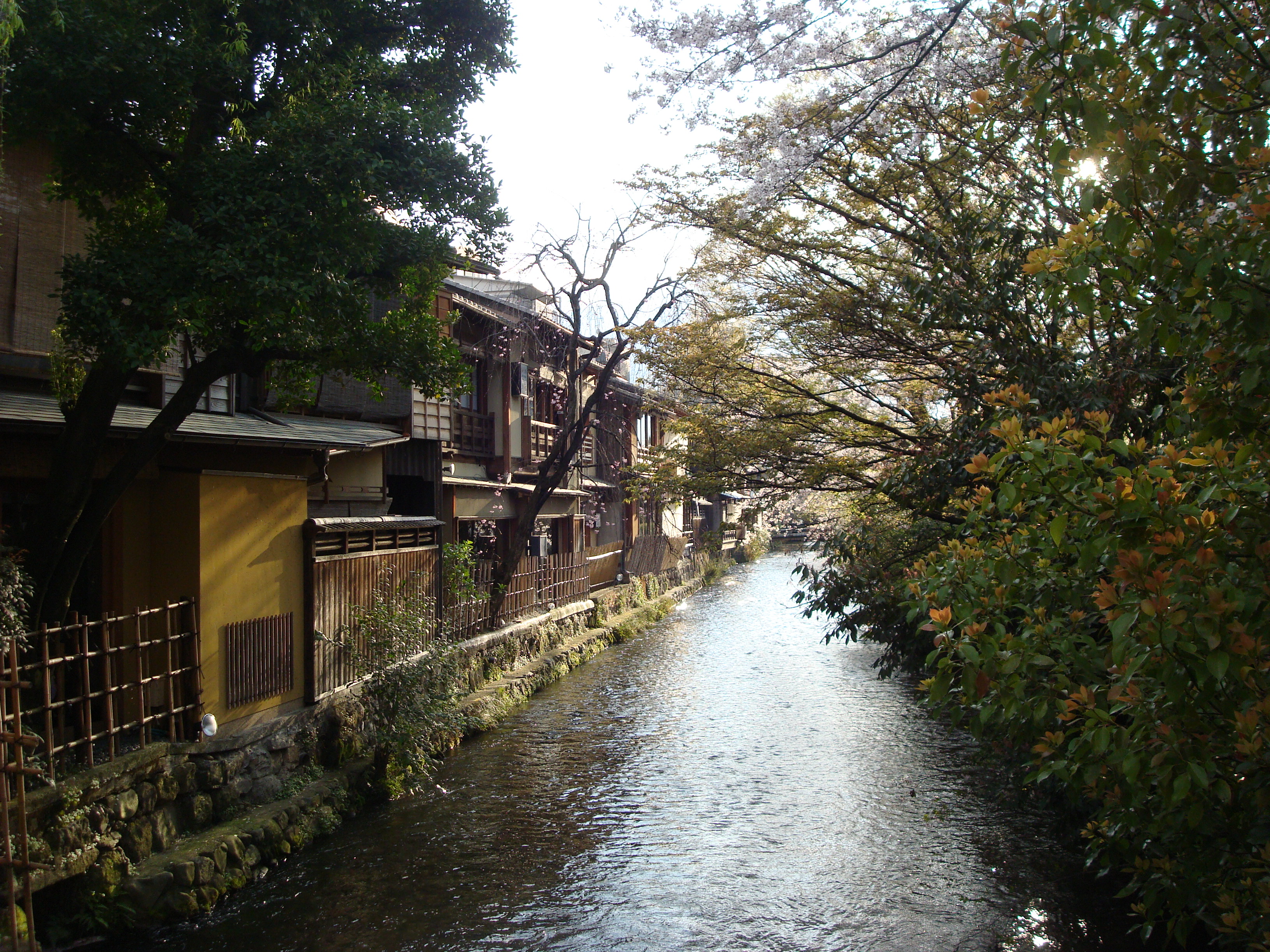 kyoto-stream