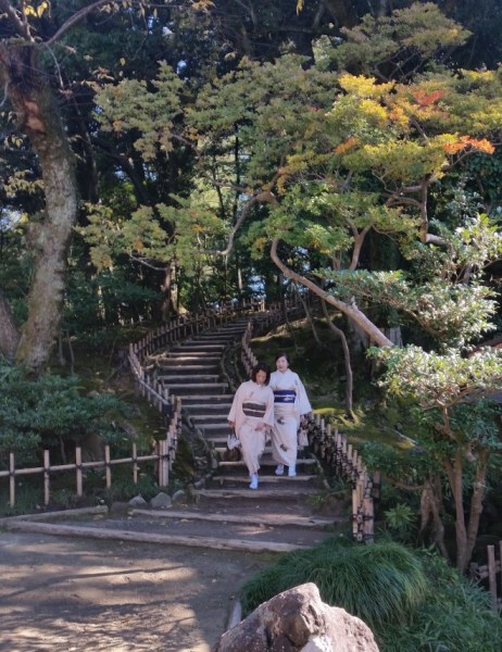 Ladies in kimonos in kenrokuen garden